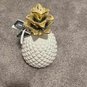 Pineapple jar coco + Lola